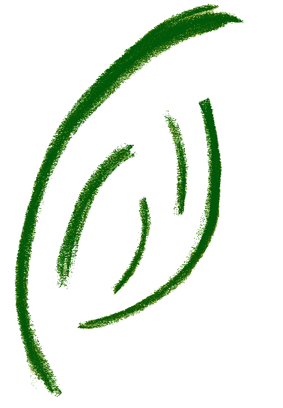 Logo7 Διαφανές Small.gif